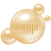 trip.webp trip.webp